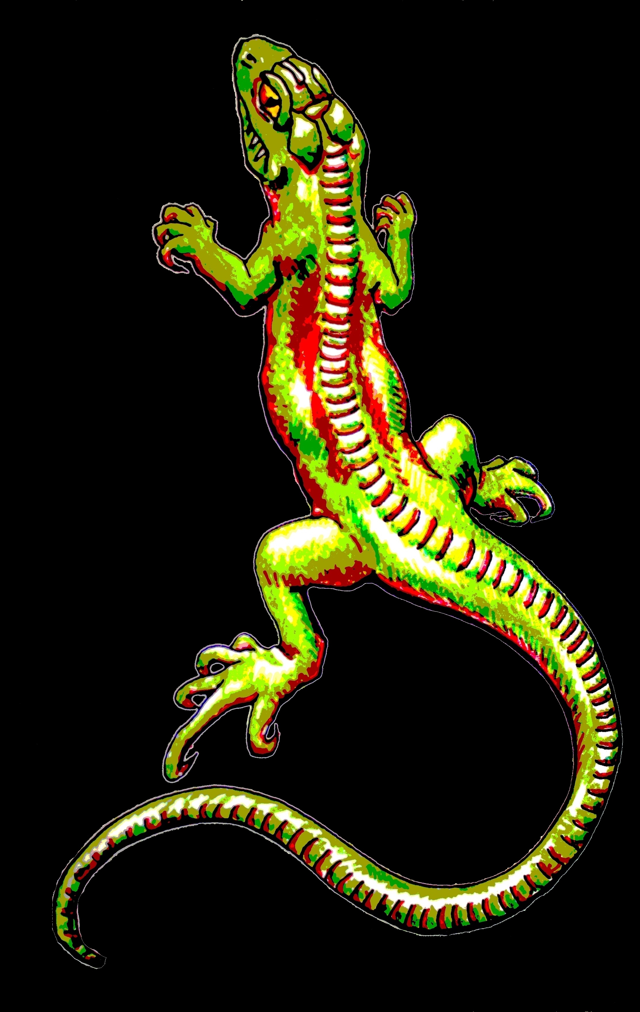 Digdigi Logo